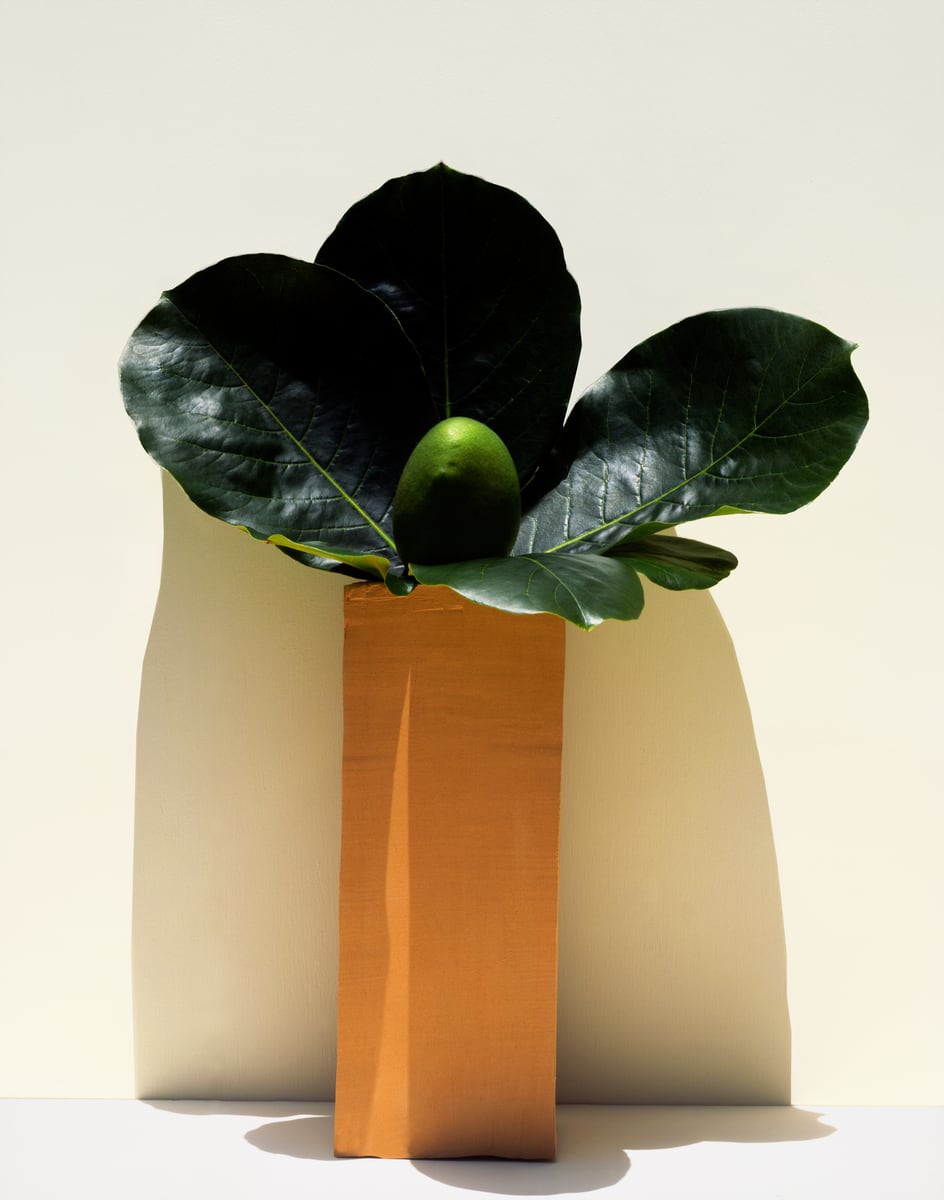 Three large glossy leaves and a single green fruit on a terracotta block, lit from the side, casting a soft shadow on a warm wall