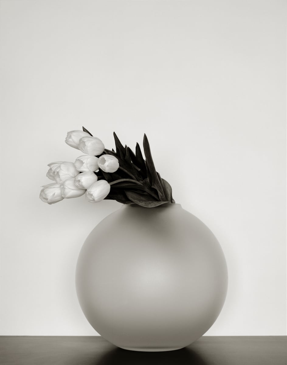 White tulips resting on the shoulder of a frosted glass sphere, in black and white