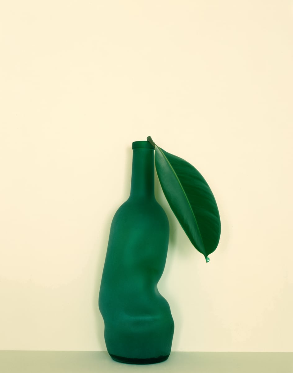 A single glossy leaf resting against the lip of a softly misshapen green frosted-glass bottle, against a cream wall