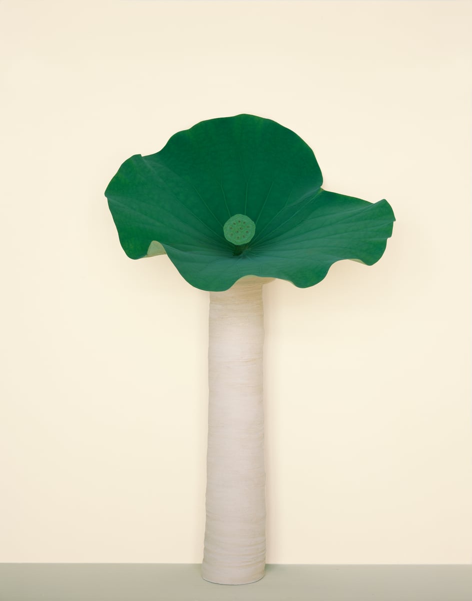 A broad lotus leaf held up on a tall white ceramic cylinder like a parasol, against a cream wall