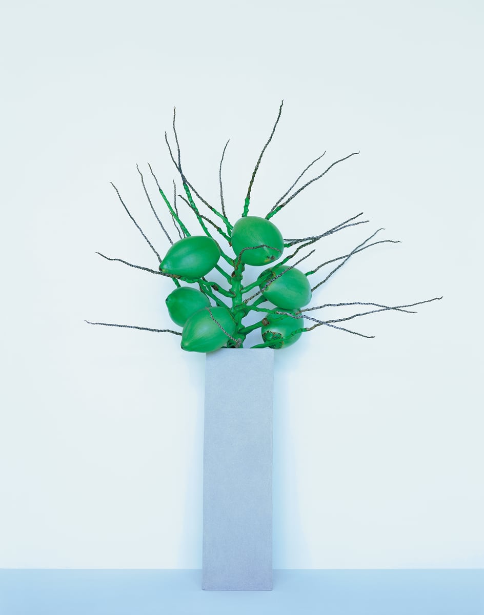 A bunch of green coconuts with bare branching stems on a tall grey column against a pale blue wall