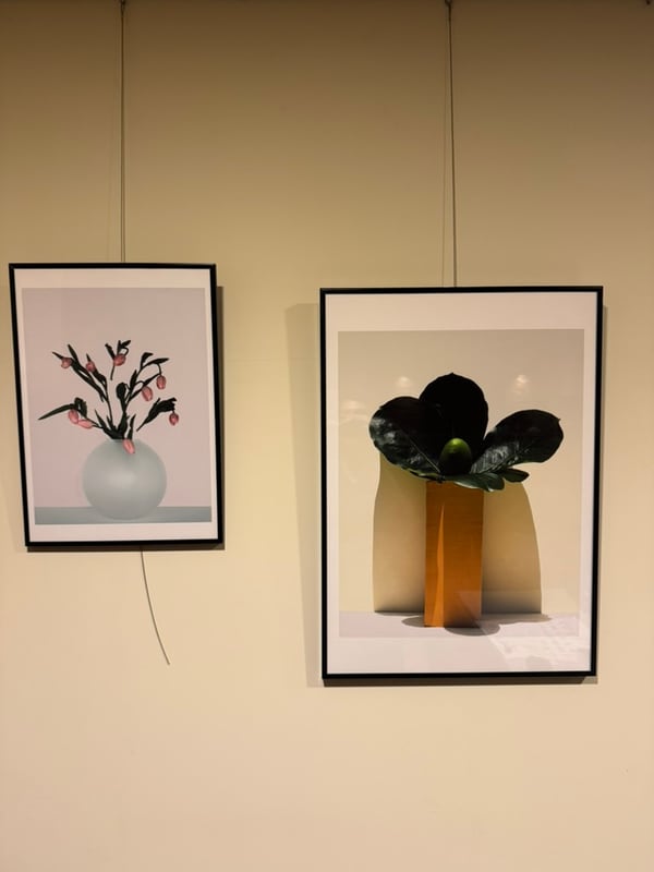 Two prints hung gallery-style on wires